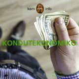 Kondutekonomiko