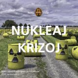 Nukleaj krizoj