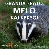 Granda frato – melo – keksoj