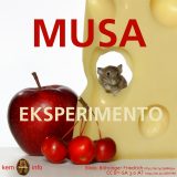 Musa eksperimento